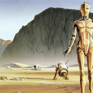 KOMAR Vliestapete Star Wars Classic RMQ Droids Tapeten 500x250 cm (Breite x Höhe) Gr. B/L: 500 m x 250 m, Rollen: 1 St., gelb (gelb, braun) Vliestapeten