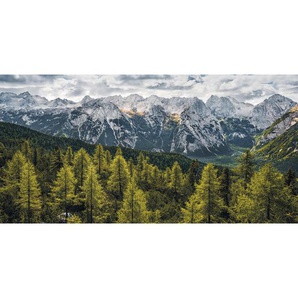 Komar Vliestapete , Steine , 200x100 cm , FSC MIX , Tapeten Shop, Vliestapeten