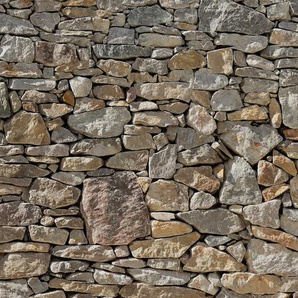 KOMAR Vliestapete Stone Wall Tapeten 400x260 cm (Breite x Höhe) Gr. B/L: 400 m x 260 m, Rollen: 1 St., bunt (bunt, bunt) Tapeten Betonoptik