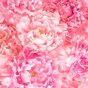 KOMAR Vliestapete Tapeten Gr. B/L: 2 m x 2,5 m, rosa Blumentapeten