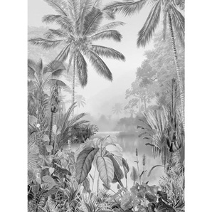 Komar Vliestapete Tropical, Schwarz, Weiß, Bäume, 200x270 cm, FSC Mix, Tapeten Shop, Vliestapeten