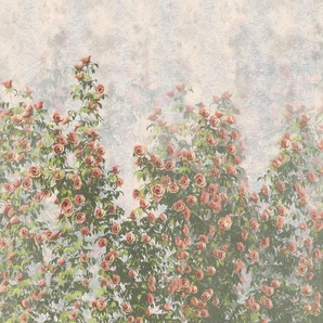 KOMAR Vliestapete Wall Roses Tapeten Gr. B/L: 300 m x 250 m, Rollen: 1 St., bunt Blumentapeten