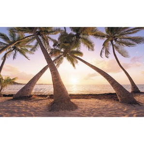 Komar Vliestapete , Wellen , 400x250 cm , FSC MIX , Tapeten Shop, Vliestapeten