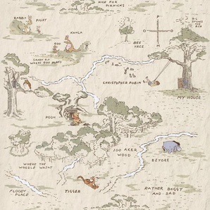 KOMAR Vliestapete Winnie the Pooh Map Tapeten 200x240 cm (Breite x Höhe) Gr. B/L: 200 m x 240 m, Rollen: 1 St., bunt (braun, grau, schwarz) Vliestapeten