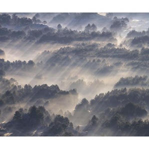 Komar Vliestapete , Wolken , 300x250 cm , FSC MIX , Tapeten Shop, Vliestapeten