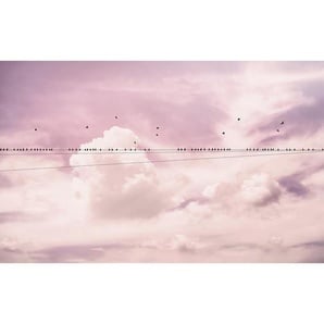 Komar Vliestapete , Wolken , 400x250 cm , FSC MIX , Tapeten Shop, Vliestapeten