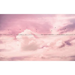 Komar Vliestapete, Wolken, 400x250 cm, FSC Mix, Tapeten Shop, Vliestapeten