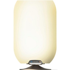 kooduu LED Tischleuchte Atmos, Bluetooth-Lautsprecher, LED fest integriert, Warmweiß, Sekt-/Getränkekühler, Bluetooth Lautsprecher, koppelbar, TWS-Stereo