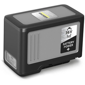 Krcher Battery Power 3675