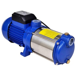Kreiselpumpe 1300 W 5100 L/h Blau
