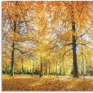 Küchenrückwand ARTLAND Herbstwald Panorama Spritzschutzwände Gr. B/H: 110 cmx65 cm, orange Küchendekoration Spritzschutzwände Alu Spritzschutz mit Klebeband, einfache Montage