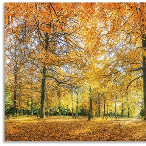 Küchenrückwand ARTLAND Herbstwald Panorama Spritzschutzwände Gr. B/H: 120 cmx60 cm, orange Küchendekoration Spritzschutzwände Alu Spritzschutz mit Klebeband, einfache Montage