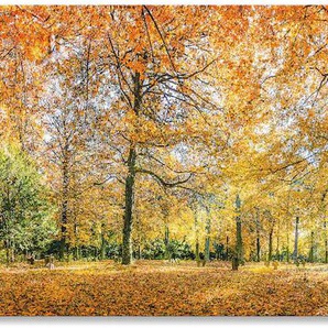 Küchenrückwand ARTLAND Herbstwald Panorama Spritzschutzwände Gr. B/H: 140 cmx50 cm, orange Küchendekoration Spritzschutzwände Alu Spritzschutz mit Klebeband, einfache Montage
