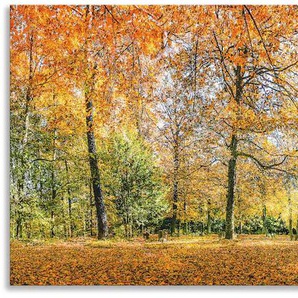 Küchenrückwand ARTLAND Herbstwald Panorama Spritzschutzwände Gr. B/H: 140 cmx55 cm, orange Küchendekoration Spritzschutzwände Alu Spritzschutz mit Klebeband, einfache Montage