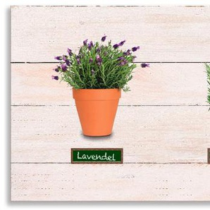 Küchenrückwand ARTLAND Lavendel Salbei Thymian Rosmarin Kräuter Spritzschutzwände Gr. B/H: 180 cmx55 cm, beige (naturfarben) Küchendekoration Spritzschutzwände Alu Spritzschutz mit Klebeband, einfache Montage