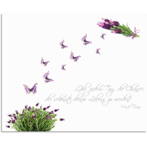 Küchenrückwand ARTLAND Lila Schmetterlinge an Lavendel Spritzschutzwände Gr. B/H: 80 cm x 65 cm, weiß Küchendekoration