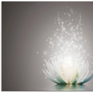 Küchenrückwand ARTLAND Magie der Lotus-Blume Spritzschutzwände Gr. B/H: 100 cm x 65 cm, grau Küchendekoration Alu Spritzschutz mit Klebeband, einfache Montage