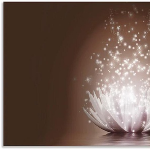 Küchenrückwand ARTLAND Magie der Lotus-Blume Spritzschutzwände Gr. B/H: 110 cmx60 cm, braun Küchendekoration Spritzschutzwände Alu Spritzschutz mit Klebeband, einfache Montage
