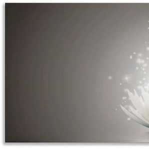 Küchenrückwand ARTLAND Magie der Lotus-Blume Spritzschutzwände Gr. B/H: 160 cmx60 cm, grau Küchendekoration Spritzschutzwände Alu Spritzschutz mit Klebeband, einfache Montage