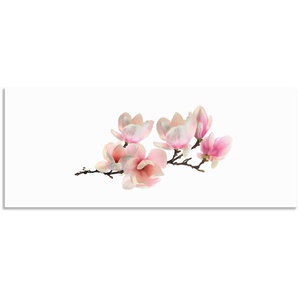 Küchenrückwand ARTLAND Magnolie Spritzschutzwände Gr. B/H: 160 cmx65 cm, pink Küchendekoration Alu Spritzschutz mit Klebeband, einfache Montage