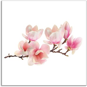 Küchenrückwand ARTLAND Magnolie Spritzschutzwände Gr. B/H: 60 cmx60 cm, pink Küchendekoration Alu Spritzschutz mit Klebeband, einfache Montage