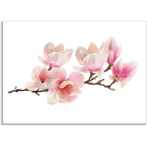 Küchenrückwand ARTLAND Magnolie Spritzschutzwände Gr. B/H: 70 cmx50 cm, pink Küchendekoration Alu Spritzschutz mit Klebeband, einfache Montage