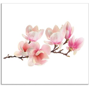 Küchenrückwand ARTLAND Magnolie Spritzschutzwände Gr. B/H: 70 cmx65 cm, pink Küchendekoration Alu Spritzschutz mit Klebeband, einfache Montage