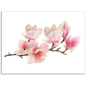 Küchenrückwand ARTLAND Magnolie Spritzschutzwände Gr. B/H: 80 cmx60 cm, pink Küchendekoration Alu Spritzschutz mit Klebeband, einfache Montage
