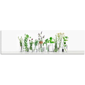 Küchenrückwand ARTLAND Öle mit Kräutern Spritzschutzwände Gr. B/H: 180 cmx50 cm, grün Küchendekoration Spritzschutzwände Alu Spritzschutz mit Klebeband, einfache Montage