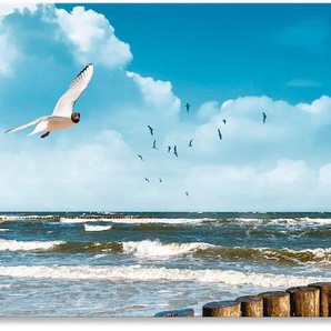 Küchenrückwand ARTLAND Ostsee Spritzschutzwände Gr. B/H: 140 cmx55 cm, blau Küchendekoration Spritzschutzwände Alu Spritzschutz mit Klebeband, einfache Montage