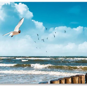 Küchenrückwand ARTLAND Ostsee Spritzschutzwände Gr. B/H: 140 cmx60 cm, blau Küchendekoration Spritzschutzwände Alu Spritzschutz mit Klebeband, einfache Montage