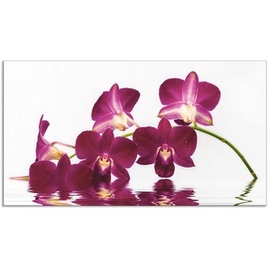 Küchenrückwand ARTLAND Phalaenopsis Orchidee Spritzschutzwände Gr. B/H: 100 cm x 55 cm, lila Küchendekoration Alu Spritzschutz mit Klebeband, einfache Montage