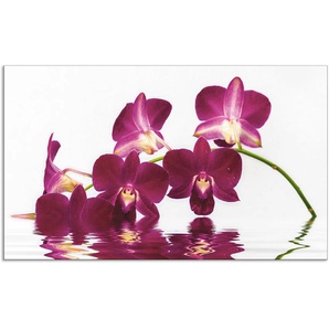 Küchenrückwand ARTLAND Phalaenopsis Orchidee Spritzschutzwände Gr. B/H: 100 cm x 60 cm, lila Küchendekoration Alu Spritzschutz mit Klebeband, einfache Montage