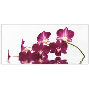 Küchenrückwand ARTLAND Phalaenopsis Orchidee Spritzschutzwände Gr. B/H: 110 cm x 50 cm, lila Küchendekoration Alu Spritzschutz mit Klebeband, einfache Montage