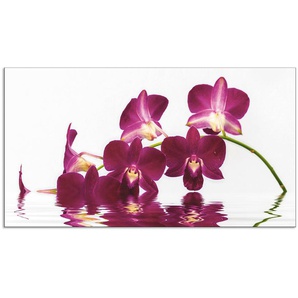 Küchenrückwand ARTLAND Phalaenopsis Orchidee Spritzschutzwände Gr. B/H: 110 cmx60 cm, lila Küchendekoration Spritzschutzwände Alu Spritzschutz mit Klebeband, einfache Montage
