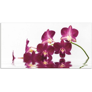 Küchenrückwand ARTLAND Phalaenopsis Orchidee Spritzschutzwände Gr. B/H: 120 cm x 60 cm, lila Küchendekoration Alu Spritzschutz mit Klebeband, einfache Montage