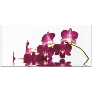 Küchenrückwand ARTLAND Phalaenopsis Orchidee Spritzschutzwände Gr. B/H: 120 cmx55 cm, lila Küchendekoration Spritzschutzwände Alu Spritzschutz mit Klebeband, einfache Montage