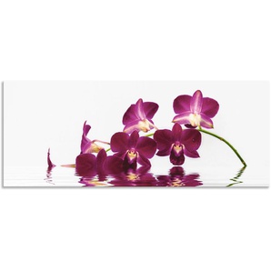 Küchenrückwand ARTLAND Phalaenopsis Orchidee Spritzschutzwände Gr. B/H: 140 cmx55 cm, lila Küchendekoration Spritzschutzwände Alu Spritzschutz mit Klebeband, einfache Montage