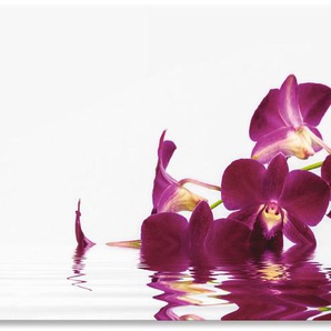 Küchenrückwand ARTLAND Phalaenopsis Orchidee Spritzschutzwände Gr. B/H: 150 cmx65 cm, lila Küchendekoration Spritzschutzwände Alu Spritzschutz mit Klebeband, einfache Montage