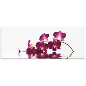 Küchenrückwand ARTLAND Phalaenopsis Orchidee Spritzschutzwände Gr. B/H: 160 cmx60 cm, lila Küchendekoration Spritzschutzwände Alu Spritzschutz mit Klebeband, einfache Montage