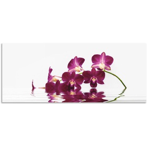 Küchenrückwand ARTLAND Phalaenopsis Orchidee Spritzschutzwände Gr. B/H: 160 cmx65 cm, lila Küchendekoration Spritzschutzwände Alu Spritzschutz mit Klebeband, einfache Montage