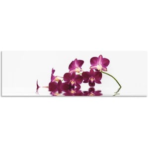 Küchenrückwand ARTLAND Phalaenopsis Orchidee Spritzschutzwände Gr. B/H: 180 cmx55 cm, lila Küchendekoration Spritzschutzwände Alu Spritzschutz mit Klebeband, einfache Montage