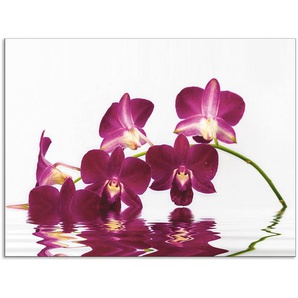 Küchenrückwand ARTLAND Phalaenopsis Orchidee Spritzschutzwände Gr. B/H: 80 cm x 60 cm, lila Küchendekoration Alu Spritzschutz mit Klebeband, einfache Montage