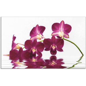 Küchenrückwand ARTLAND Phalaenopsis Orchidee Spritzschutzwände Gr. B/H: 90 cm x 55 cm, lila Küchendekoration Alu Spritzschutz mit Klebeband, einfache Montage