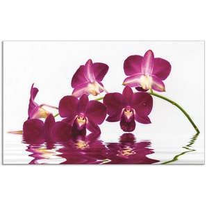 Küchenrückwand ARTLAND Phalaenopsis Orchidee Spritzschutzwände Gr. B/H: 90 cm x 55 cm, lila Küchendekoration