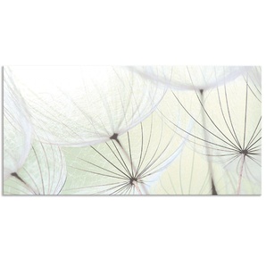 Küchenrückwand ARTLAND Pusteblumen-Samen aufgehellt Spritzschutzwände Gr. B/H: 100 cm x 50 cm, grün Küchendekoration