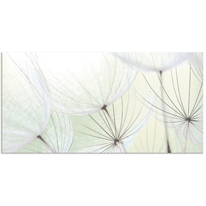 Küchenrückwand ARTLAND Pusteblumen-Samen aufgehellt Spritzschutzwände Gr. B/H: 120 cm x 60 cm, grün Küchendekoration