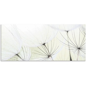Küchenrückwand ARTLAND Pusteblumen-Samen aufgehellt Spritzschutzwände Gr. B/H: 140 cm x 60 cm, grün Küchendekoration
