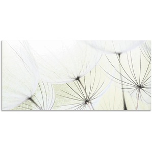 Küchenrückwand ARTLAND Pusteblumen-Samen aufgehellt Spritzschutzwände Gr. B/H: 140 cmx65 cm, grün Küchendekoration Spritzschutzwände Alu Spritzschutz mit Klebeband, einfache Montage
