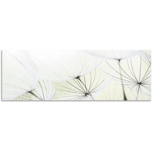 Küchenrückwand ARTLAND Pusteblumen-Samen aufgehellt Spritzschutzwände Gr. B/H: 150 cm x 50 cm, grün Küchendekoration